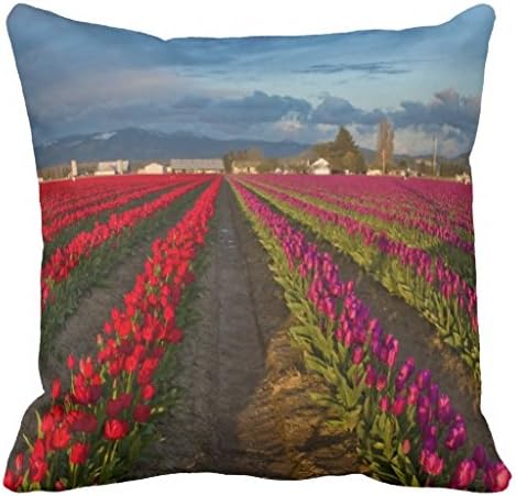 With Four Rows Of Reds And Purples Pillow Cases Zippered?Cushion Covers 20X30 Inch