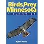 Birds of Prey of Minnesota Field Guide