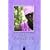 Die Farbe Lila