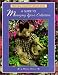 Book Teddy Bear Collector's Record Book: A Guide to Managing Your Collection