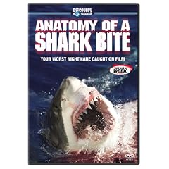 Anatomy of a Shark Bite