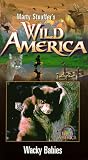 Marty Stouffers Wild America - Wacky Babies [VHS]