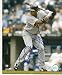 Autographed/Hand Signed Photo Carlos Guillen Detroit Tigers