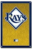 Tampa Bay Rays - Logo - Poster (22x34)