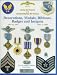 Search : Army Air Force and United States Air Force: Decorations, Medals, Ribbons, Badges and Insignia 1941 to 1947
