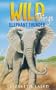 Elephant Thunder