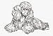 Dog Rubber Stamp - Poodle - 16D