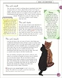 KISS Guide to Cat Care KISS Guide to Cat Care