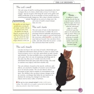 KISS Guide to Cat Care