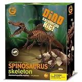 Spinosaurus Skeleton Dinosaur Dig and Discover Excavation Kit
