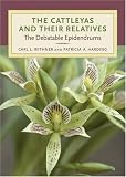 The Cattleyas and Their Relatives: The Debatable Epidendrums