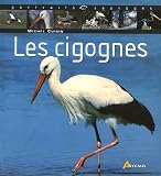 Les cigognes