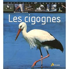 Les cigognes