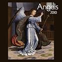 Angels 2010 Wall