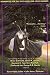 Books : Meditations on Middle Earth: New Writing on the Worlds of J. R. R. Tolkien by Orson Scott Card, Ursula K. Le Guin, Raymond E. Feist, Terry Pratchett, Charles de Lint, George R. R. Martin, and more