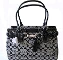 AUTHENTIC COACH HAMPTONS LARGE SIGNATURE BUSINESS SHOPPING CARRYALL HANDBAG 13068
