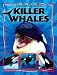 Killer Whales (Boys Rock!)