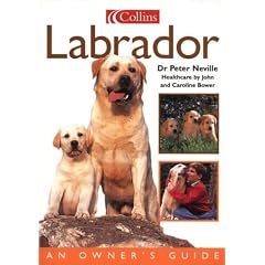 Labrador (Collins Dog Owner's Guides)