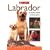 Labrador (Collins Dog Owner's Guides)
