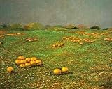 Patrick Antonelle - Pumpkin Field Canvas Giclee