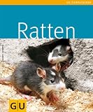 Ratten (GU TierRatgeber)