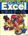 やさしくわかるExcelピボットテーブル (Excel徹底活用シリーズ)