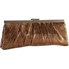 Jessica McClintock New Leaf Pleated Frame Clutch