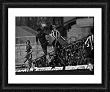Framed Print of WA657851 from Mirror Photos