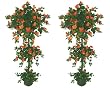 TWO 5' Bougainvillea 2-bloom Plants Real Wood Trunks Artificial Trees in Pot