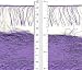 Fun Fur Yarn - Violet