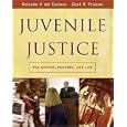 Juvenile Justice: The System, Process and Law by Rolando V. del Carmen and Chad R. Trulson
