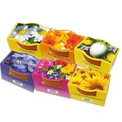 6 Mini-Pflanzset 'Bl�ten'