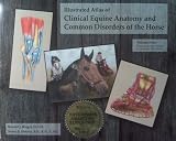 Illustrated Atlas of Clinical Equine Anatomy and Common Disorders of the Horse (Vol 1)