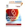 Emarketing Excellence (Emarketing Essentials)