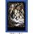 �g���j�e�B�E�u���b�h chapter.1 �R���N�^�[�Y�G�f�B�V���� [DVD]