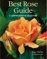 Best Rose Guide: A Comprehensive Selection