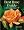 Best Rose Guide: A Comprehensive Selection