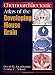 Chemoarchitectonic Atlas of the Developing Mouse Brain