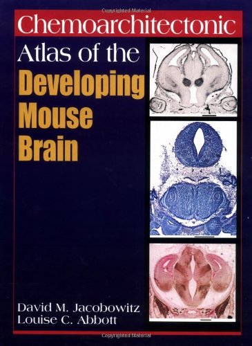 Chemoarchitectonic Atlas of the Developing Mouse Brain On Sale