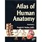Best Books for Medical School
