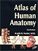 Atlas of Human Anatomy, Third Edition