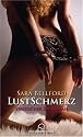 Lustschmerz Erotischer SM-Roman