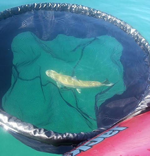 WindPaddle Release Right Fishing Net