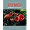 Fungi, lichen & slime moulds