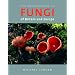 Fungi, lichen & slime moulds
