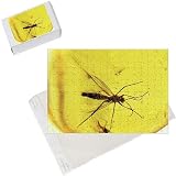 Photo Jigsaw Puzzle of PM-10263 Insect in amber from Ardea Wildlife Pets
