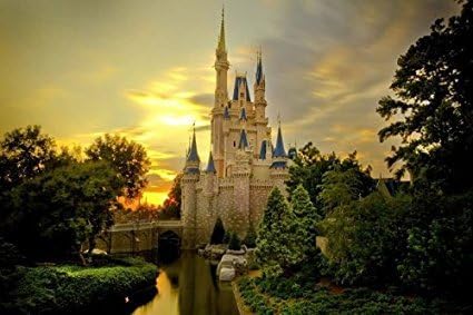 sunset over cinderella castle Custom Poster Online Wallpaper Wall Bedroom Decor Classic Bedroom Setting Painting Print Poster Design Wall Sticker 20 X 30 Inch