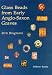 Glass Beads from Anglo-Saxon Graves: A Study on the Provenance and Chronology of Glass Beads from Anglo-Saxon Graves, Based on Visual Examination (None)