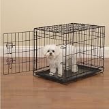 Single Door Black Metal Wire Economy Dog Crate