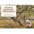 Favourite Country Preserves - Traditional Home-made Jam, Chutney and Pickle Recipes